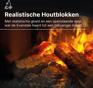 Dimplex Evandale elektrische sfeerhaard zwart