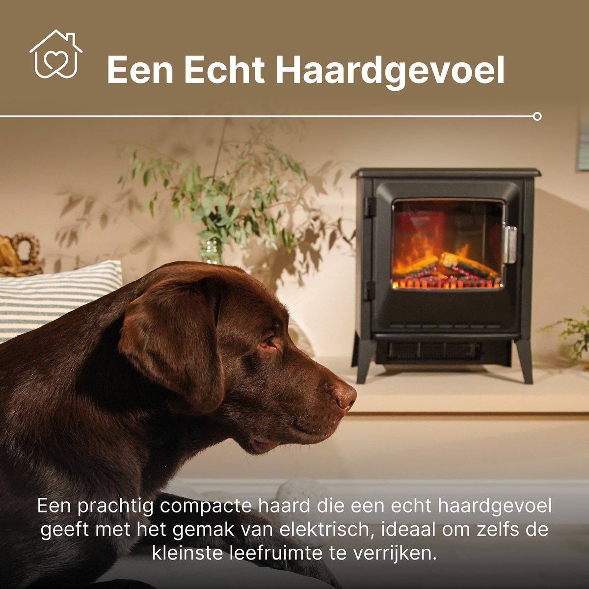 Dimplex Lucia Elektrische Sfeerhaard Zwart