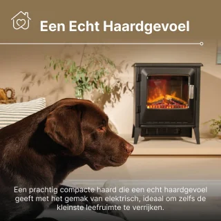 Dimplex Lucia Elektrische Sfeerhaard Zwart