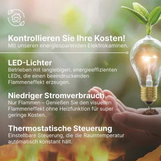 Elektrische Haard 20" Vrijstaand Zwart