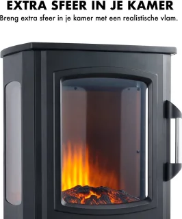 EVIQ Toronto Elektrische Sfeerhaard Vrijstaand Zwart