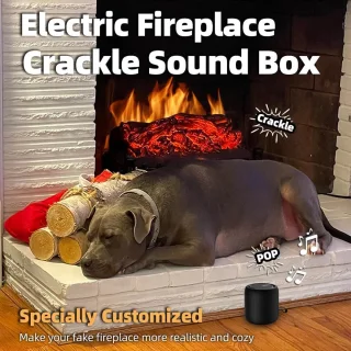 Haardgeluidsbox