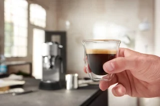 De’Longhi EC885.GY Espressomachine 1L