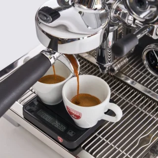 Eureka Pura espressomachine - zilver