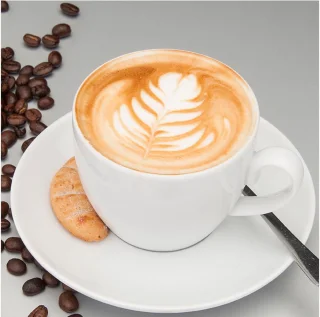 Gastroback Design Espresso Plus 42606 Pistonmachine