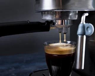 Gastronoma Espressomachine 18110001 RVS