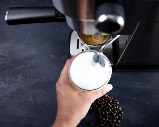Gastronoma Espressomachine 18110001 RVS