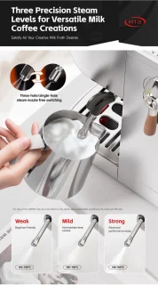 HiBREW H13 Semi-automatische espressomachine - Zilver