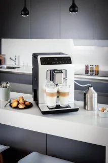 Krups Evidence EA891C Espressomachine Chroom