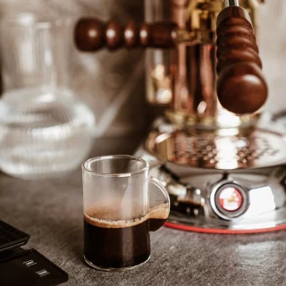 La Pavoni Esperto Edotto LPLESE01EU Handmatige espressomachine