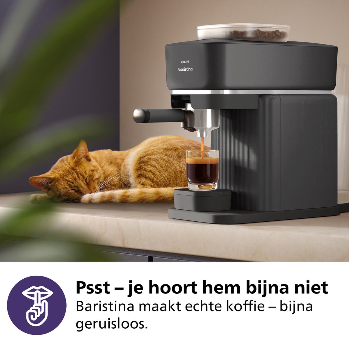 Advies voor kopers