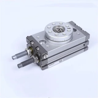 Pneumatische cilinder pignon type 1 x 1 x 1 cm