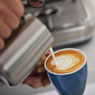 Sage Barista Express Pistonmachine RVS