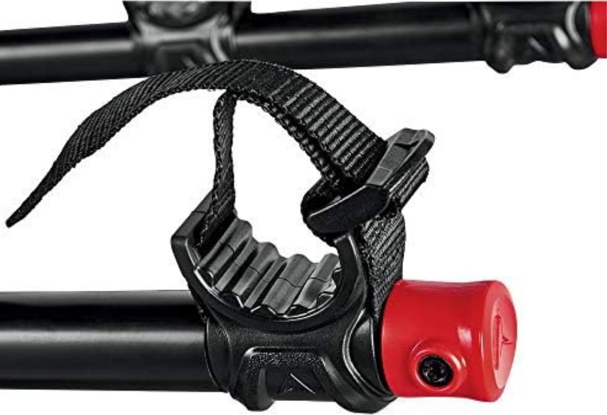 Gratyfied Fietsendrager Electrische Fietsen 2 plaatsen