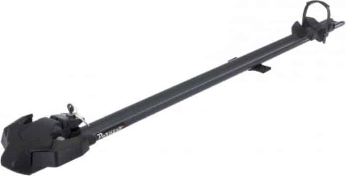 Peruzzo Pure Instinct Vorkfietsdrager Dakmontage