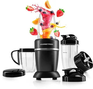 GOURMETmaxx Nutrition Mixer 1000 W Standmixer
