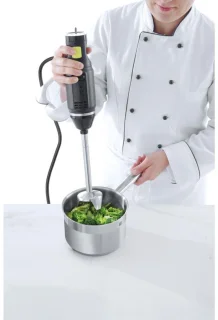 HENDI Staafmixer 250W titanium mes 6 snelheden