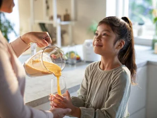 Philips HR2041/00 Blender