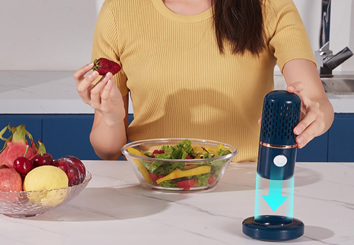 De Sterilisator voedselzuiveraar voor groenten, fruit, vis en vlees in één oogopslag