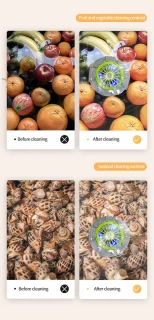 USB Fruitreiniger Pesticiden Verwijderaar