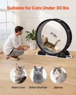 Loopwiel voor Katten met Stappenteller, 103,4 Cm, Loopwiel met Rem en Tapijtoppervlak, Stille Loopband voor Huiskatten tot 13,6 Kg, Fitnessapparaat voor de Gezondheid van Huisdieren, Zwart