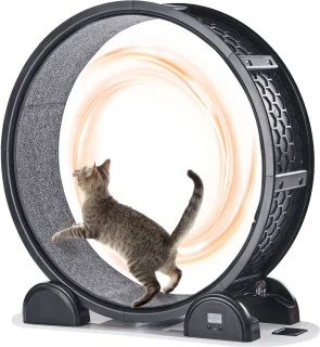 Loopwiel voor Katten met Stappenteller, 103,4 Cm, Loopwiel met Rem en Tapijtoppervlak, Stille Loopband voor Huiskatten tot 13,6 Kg, Fitnessapparaat voor de Gezondheid van Huisdieren, Zwart