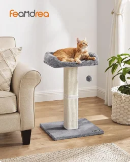 Kattenkrabpaal met Sisal en Pluche Platform - Ideaal voor Kleine en Middelgrote Katten - 71 cm Hoog