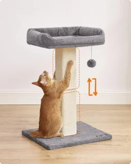 Kattenkrabpaal met Sisal en Pluche Platform - Ideaal voor Kleine en Middelgrote Katten - 71 cm Hoog