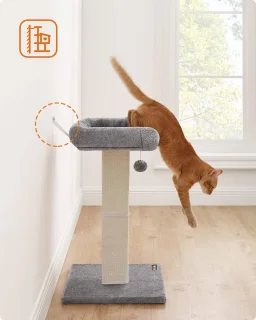Kattenkrabpaal met Sisal en Pluche Platform - Ideaal voor Kleine en Middelgrote Katten - 71 cm Hoog