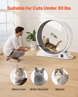 Loopwiel voor Katten, 115x39,5x109 Cm, met Rem & Looppad Van Tapijt, Geschikt voor Huiskatten Tot 13,6 Kg, Trainingsapparaat om Gezondheid & Fitness Te Bevorderen