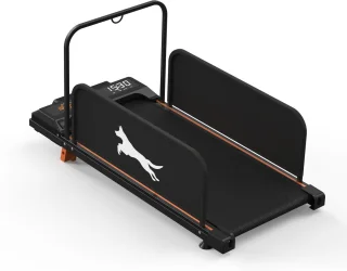 De 2-in-1 Loopband voor Mens en Hond in één oogopslag