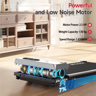 Wat vinden we goed aan de BIGZZIA Loopband Walkingpad