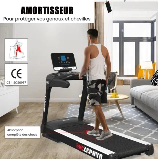 CARE ZEPHYR Professionele Loopband