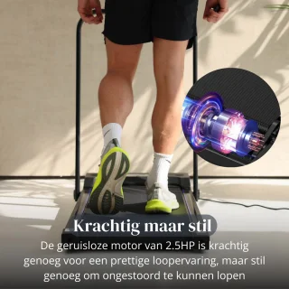 Easystep V10h - Loopband