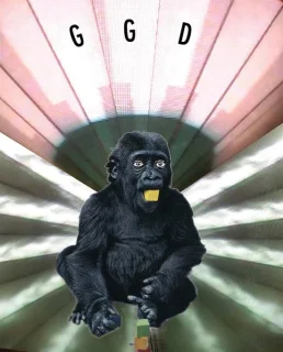 Gang Gang Dance - Retina Riddim (DVD)