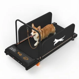Kleine honden loopband 2026 editie
