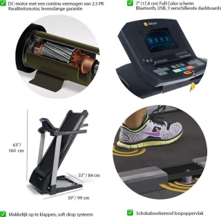 LifeSpan Fitness TR1200iT Loopband