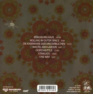 Looper Pedal - Draagbaar Opnameapparaat