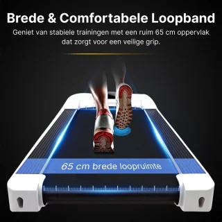 Luxari R1000 Loopband
