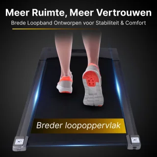 Luxari R900 Loopband