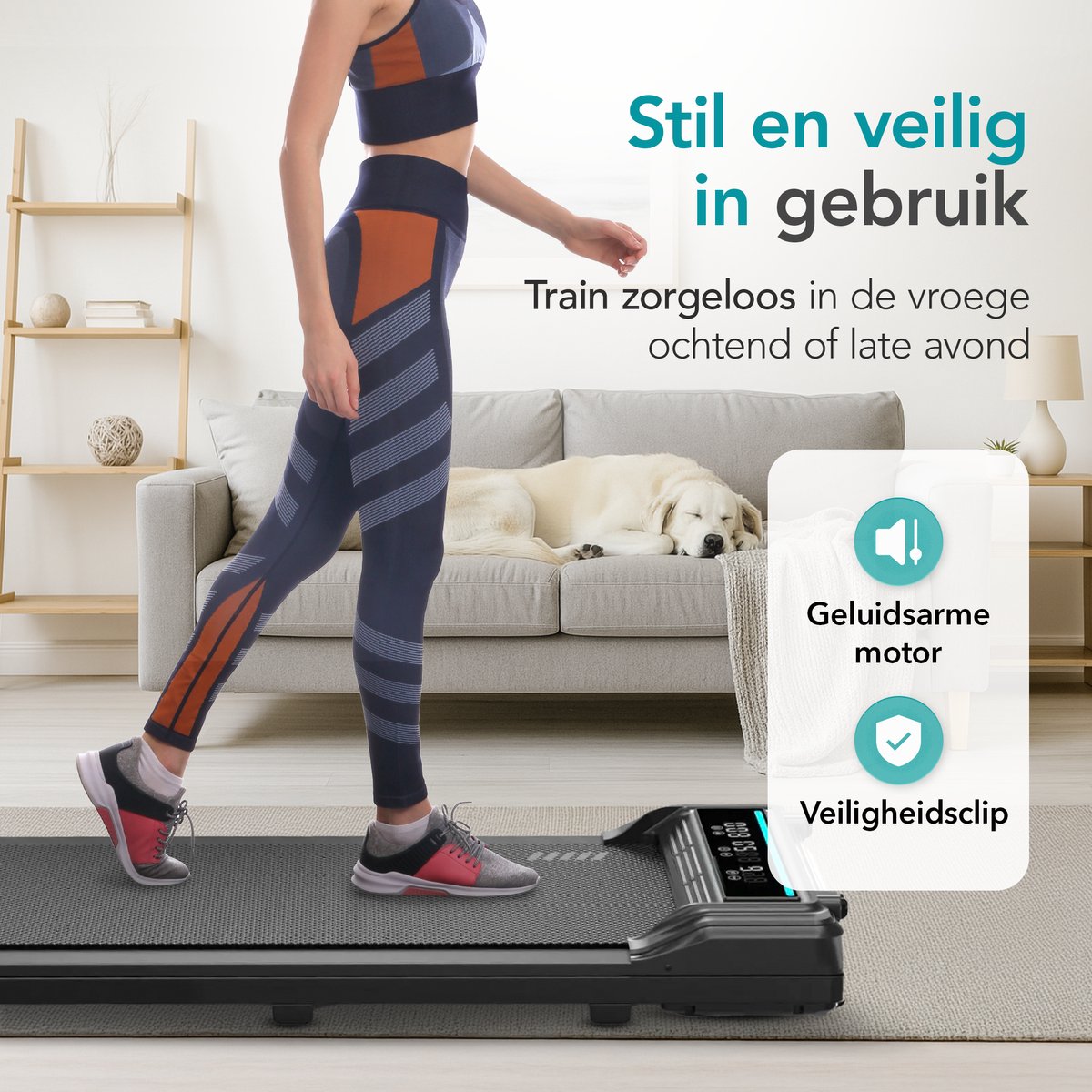 Wat vinden we goed aan de TibaGoods Loopband Inklapbaar Walking Pad