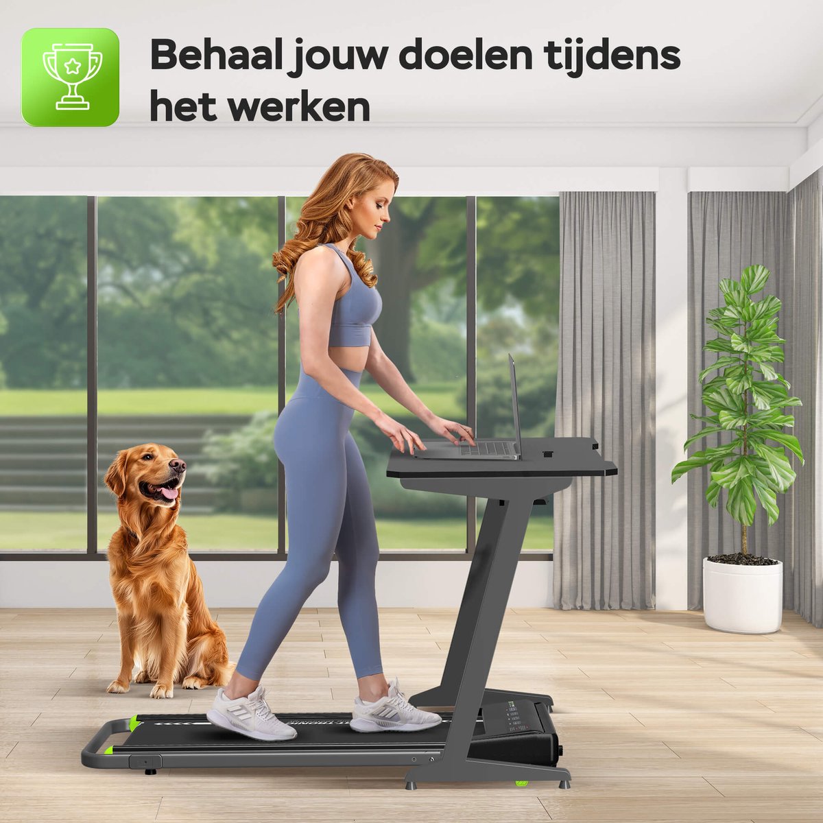 Conclusie