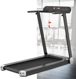 WalkingPad Loopband review