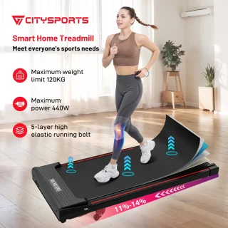 ZX1P Loopband