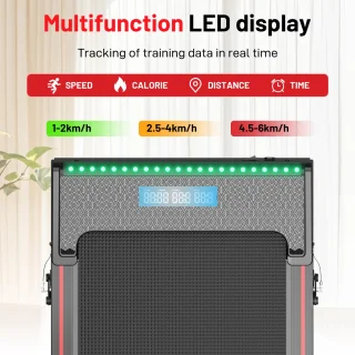 ZX1P Loopband