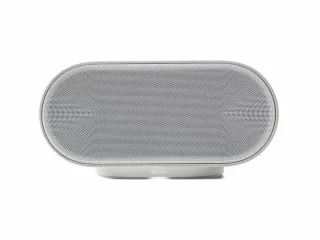 De Denon Home 600 luidspreker - zilver in één oogopslag