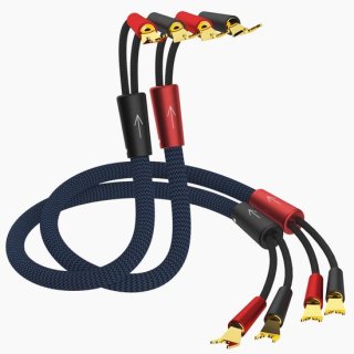 Luidsprekerkabel 13 AWG 2,5 m review