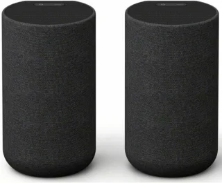 Sony SA-RS5 draadloze achterspeakers zwart