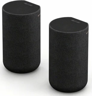 Sony SA-RS5 draadloze achterspeakers zwart
