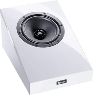 Thuisbioscoop Atmos luidsprekers